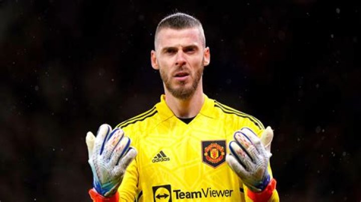 
How much is Spanish Goalkeeper David de Gea's Net Worth and Salary? Also about his Relationship and Girlfriend