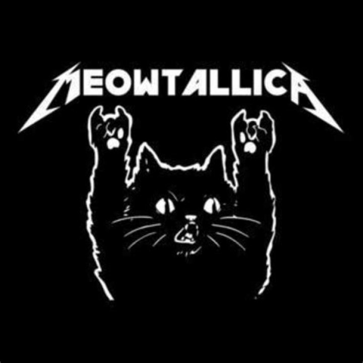 Metallicats Beer Youtuber overview