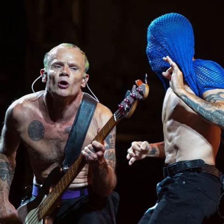 Red Hot Chili Peppers net worth, income and estimated earnings of Youtuber channel