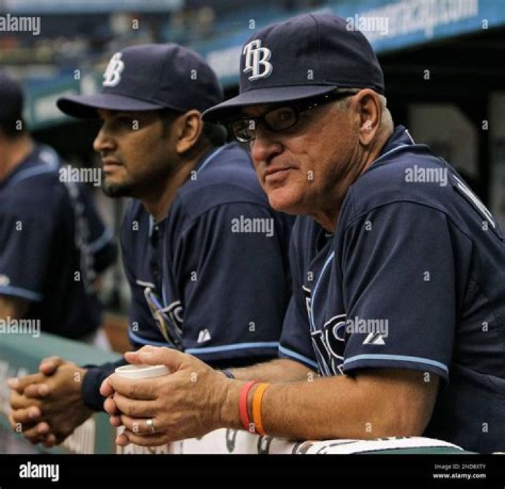 second/current wife of an American professional baseball manager, Joe Maddon, Know about their children.