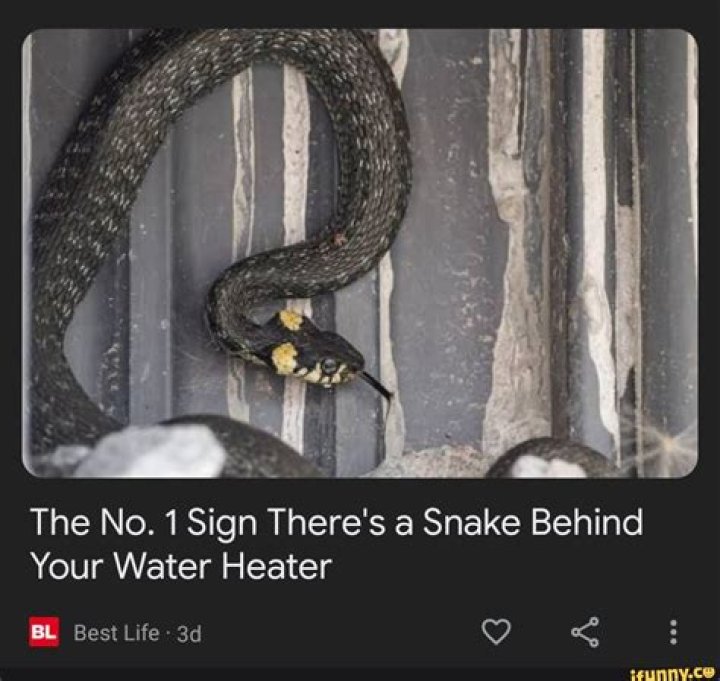 The No. 1 Sign There's a Snake Behind Your Water Heater