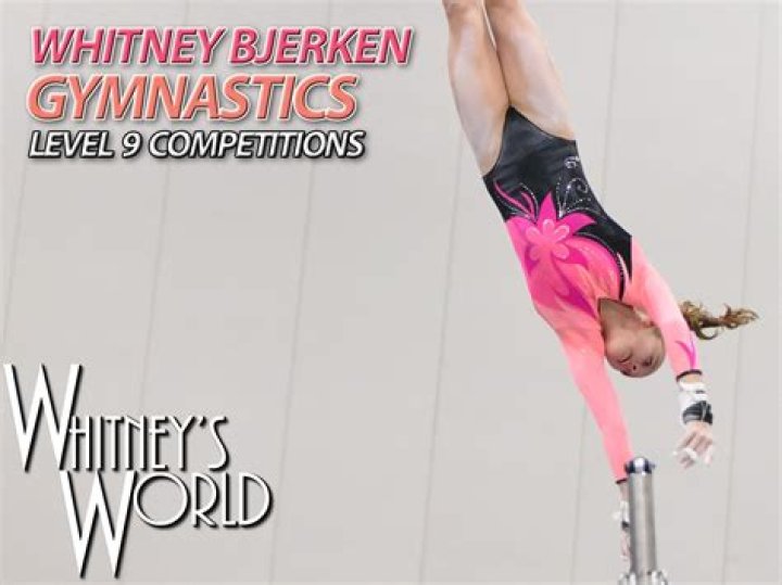 Whitney Bjerken Youtuber overview
