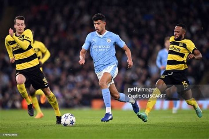 Young Boys Midfielder Sandro Lauper's Biography, Parents, Siblings, Net Worth, Salary, Contract, Earnings, Girlfriend and Relationship Status